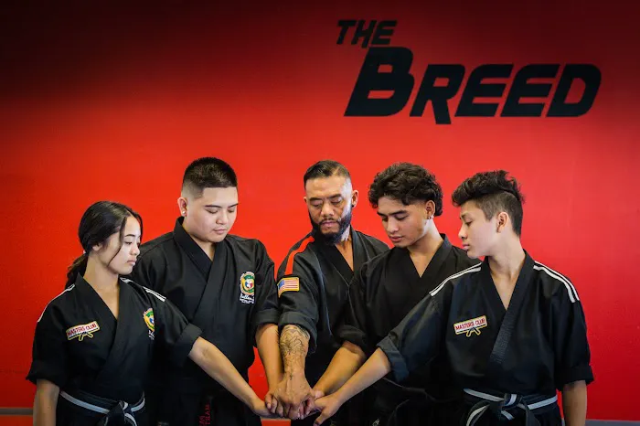 Pallens Martial Arts Tri Valley Picture 6