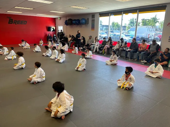 Pallens Martial Arts Tri Valley Picture 7