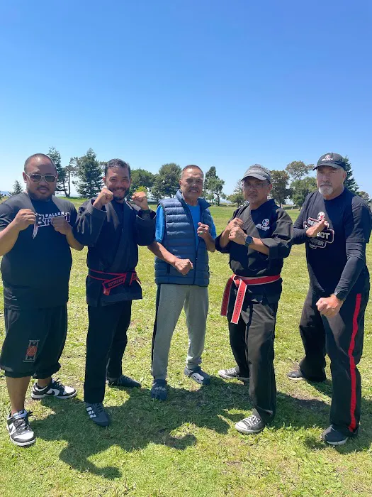 Pallens Martial Arts Tri Valley Picture 8