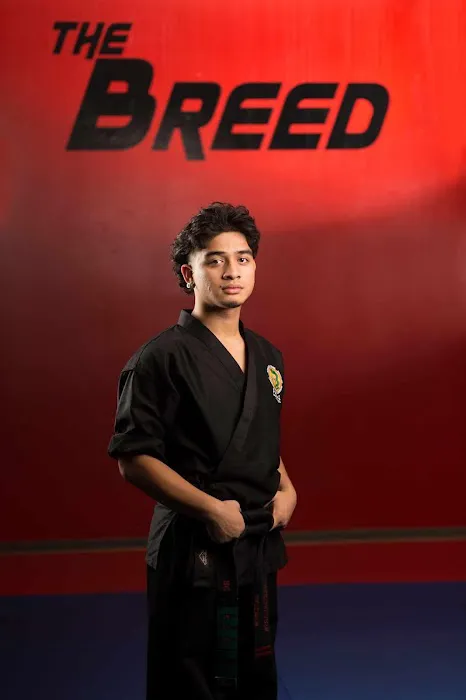 Pallens Martial Arts Tri Valley Picture 9