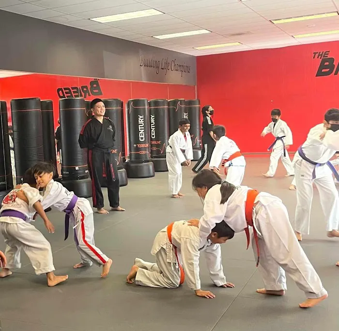 Pallens Martial Arts Tri Valley Picture 10