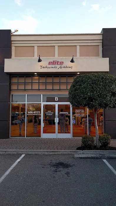 Elite Taekwondo Academy Picture 2