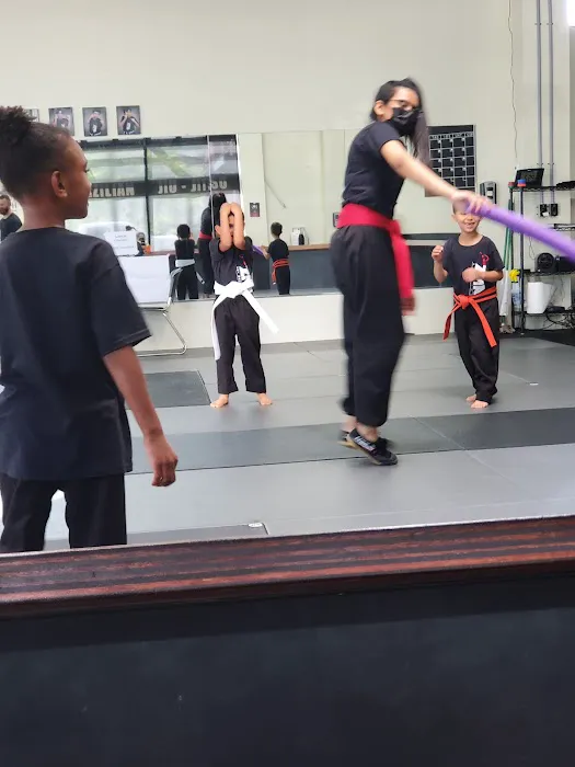 Zai Martial Arts Academy Picture 2