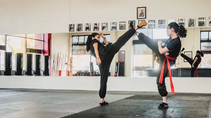 Zai Martial Arts Academy Picture 9