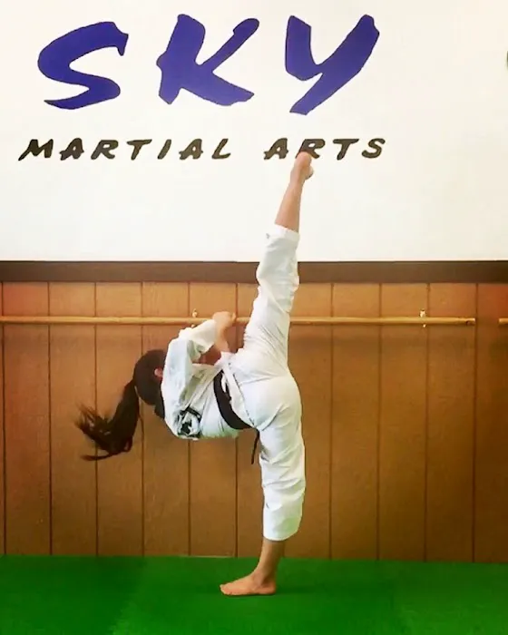 Sky Martial Arts - Dublin CA Picture 3