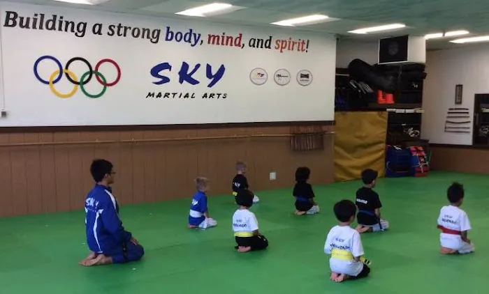Sky Martial Arts - Dublin CA Picture 8