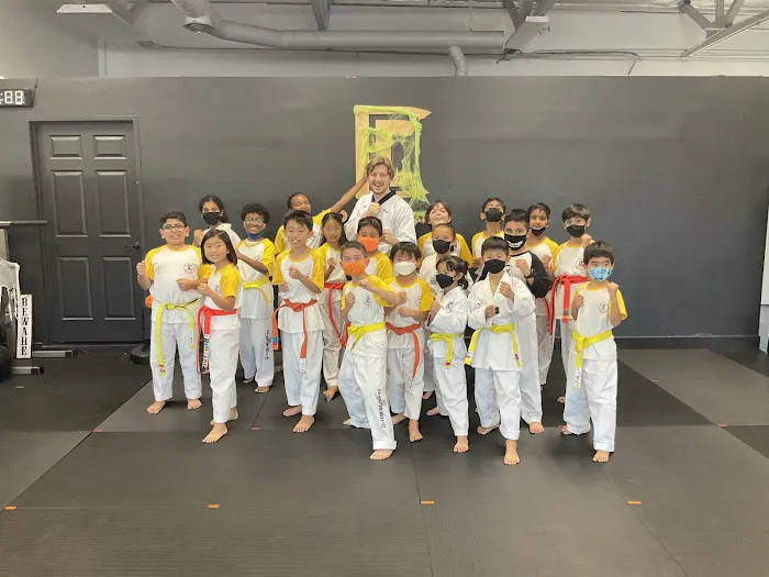 DO Martial Arts Picture 3