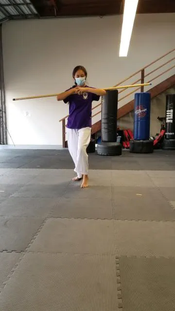 Thomas Martial Arts & Fitness Academy Picture 5