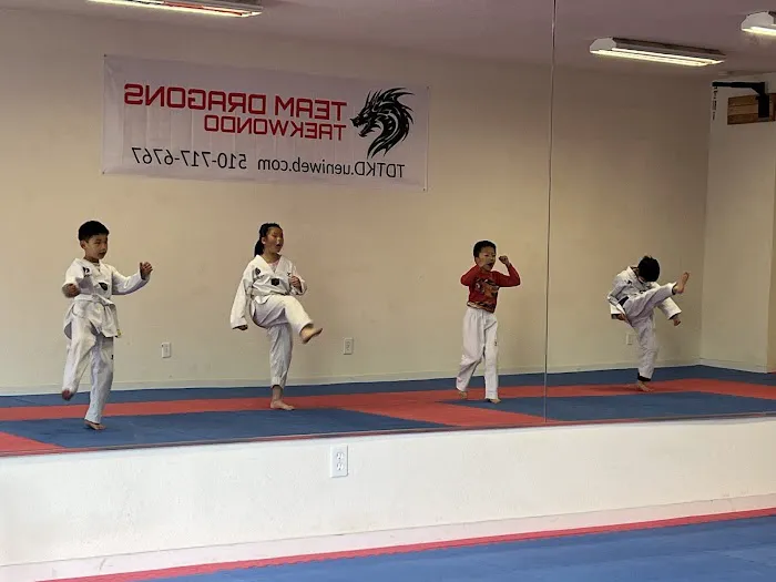 Team Dragons Taekwondo Picture 4