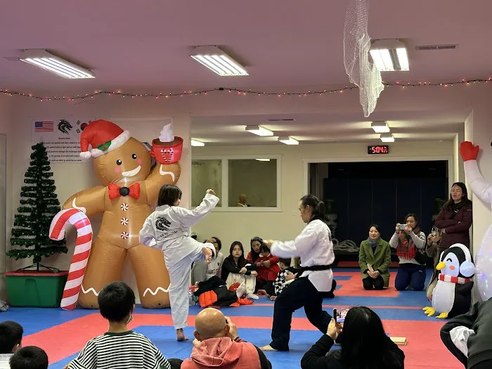 Team Dragons Taekwondo Picture 2