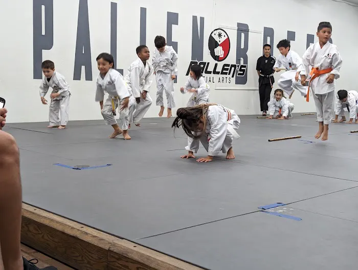 Pallen's Martial Arts Picture 5
