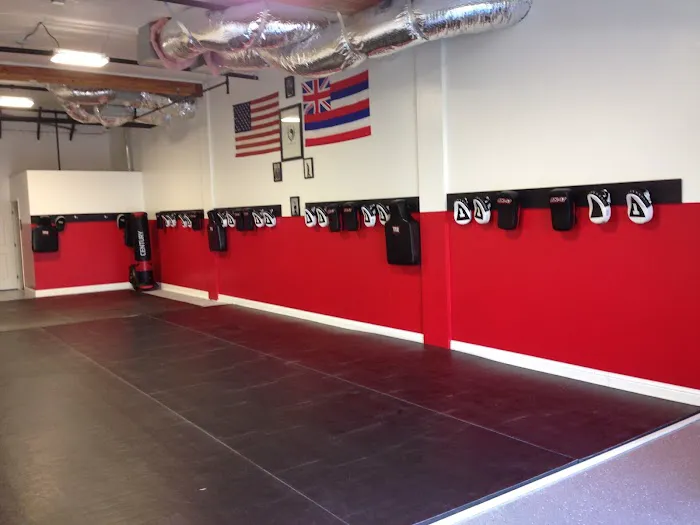 Esteller Martial Arts Picture 7