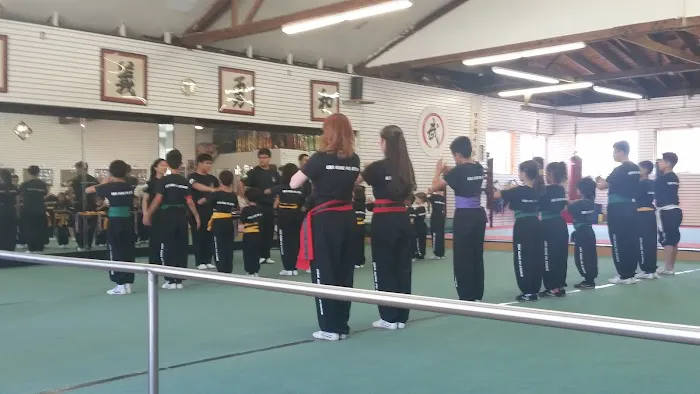 USA Kungfu Studio Picture 9