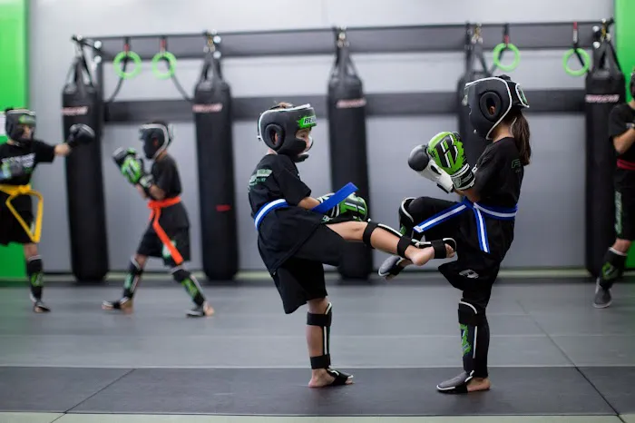 Fearless Martial Arts Academy Picture 7