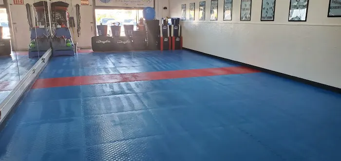 Lim's TaeKwonDo Academy Picture 4