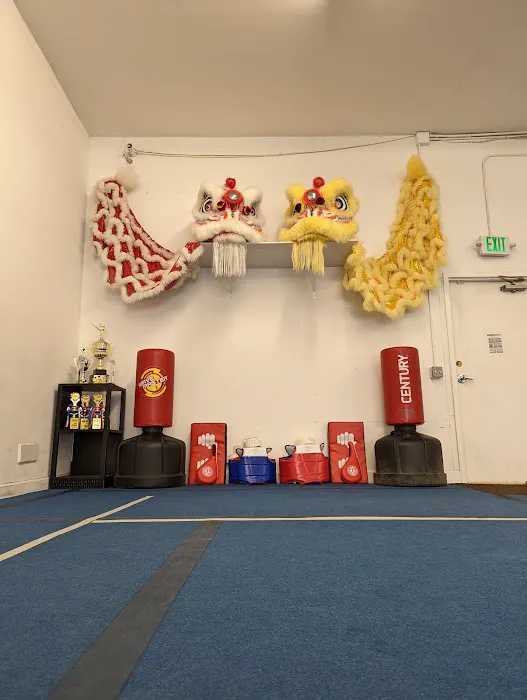 Champion Wushu & Art Center Picture 9