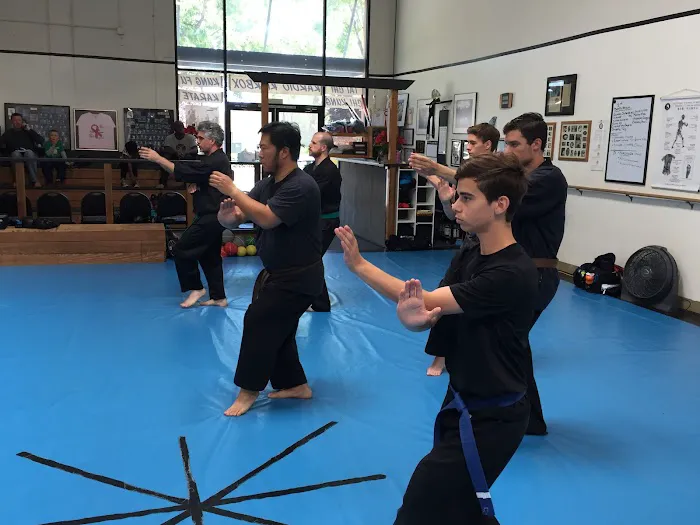 Ty-West Martial Arts Picture 3