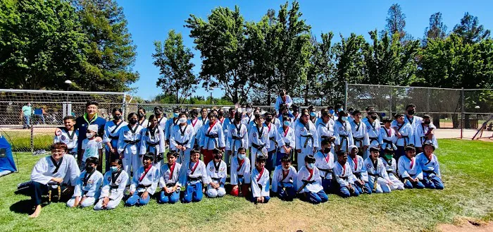 Black Tiger Taekwondo Martial Picture 1