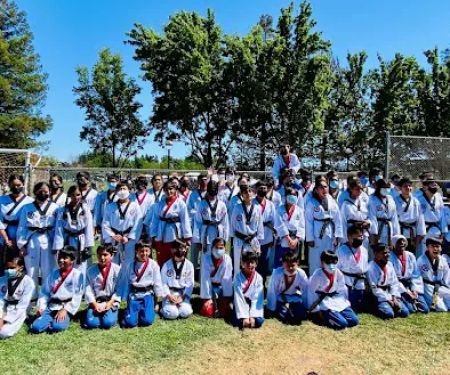 Black Tiger Taekwondo Martial