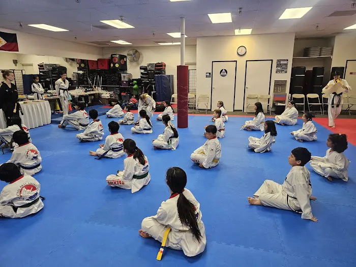 Martial Arts America Picture 4