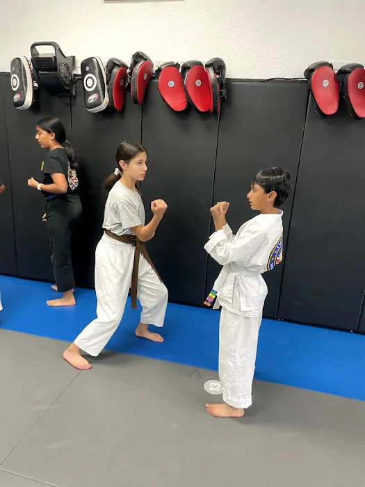 Livermore Martial Arts Academy, LLC Picture 8