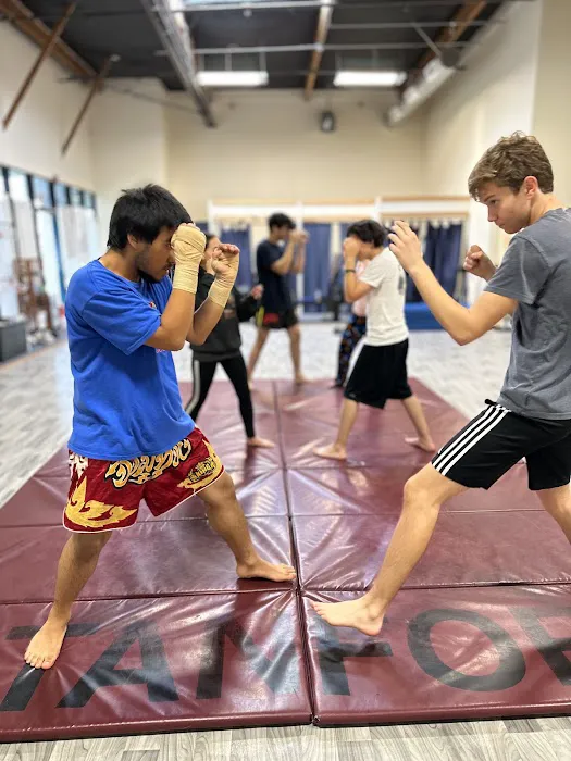 Oakland Kickboxing Picture 8