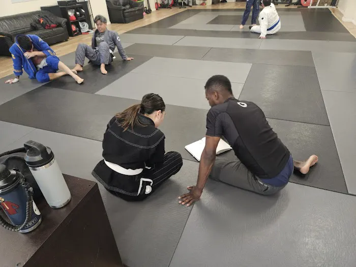 Dominat10n Jiu Jitsu Picture 1
