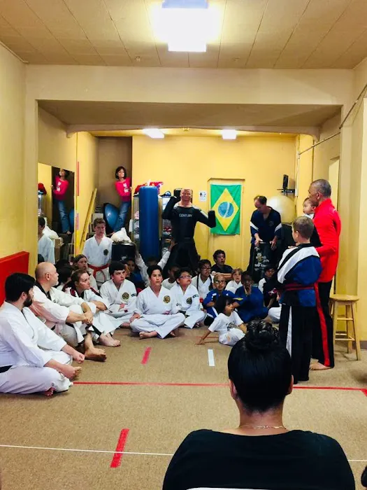 Pitt's Martial Arts Academy Picture 2
