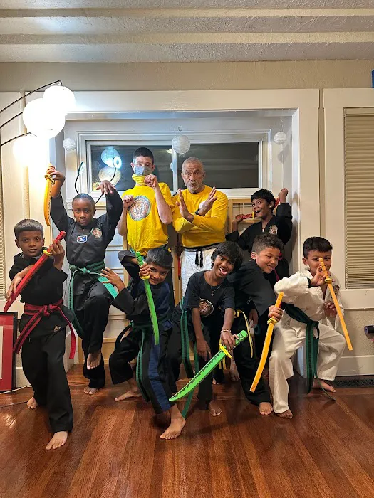Pitt's Martial Arts Academy Picture 6