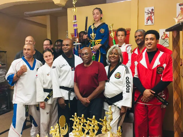 Pitt's Martial Arts Academy Picture 3
