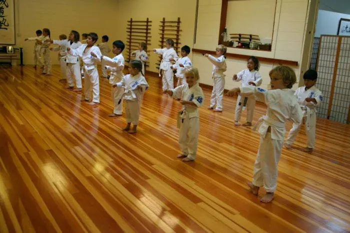 East Bay Seido Karate Picture 3