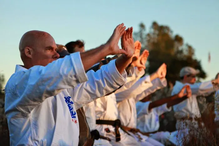 East Bay Seido Karate Picture 4