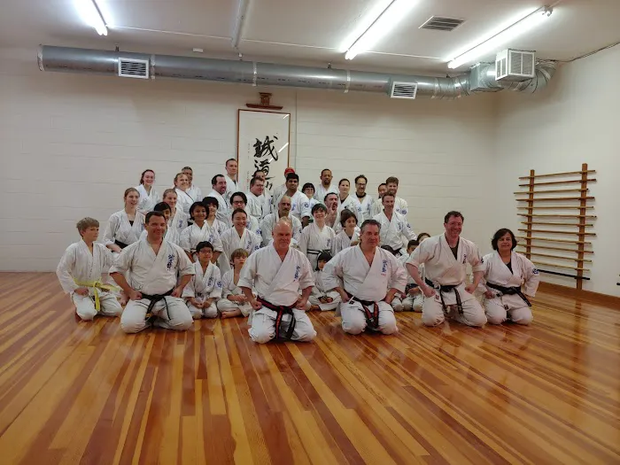 East Bay Seido Karate Picture 6