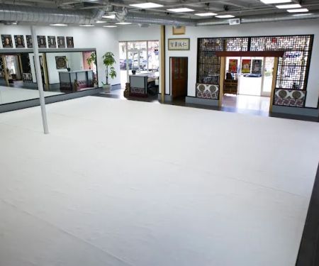 Richard Lee's East-West Kung Fu - Alamo