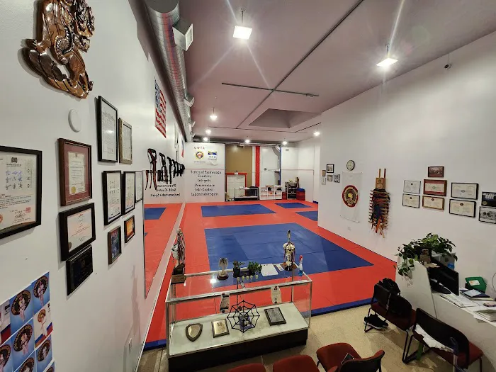 Ahn Martial Arts CA. Picture 3