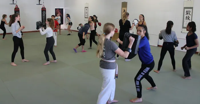 Karatedo Shinyokai Picture 5
