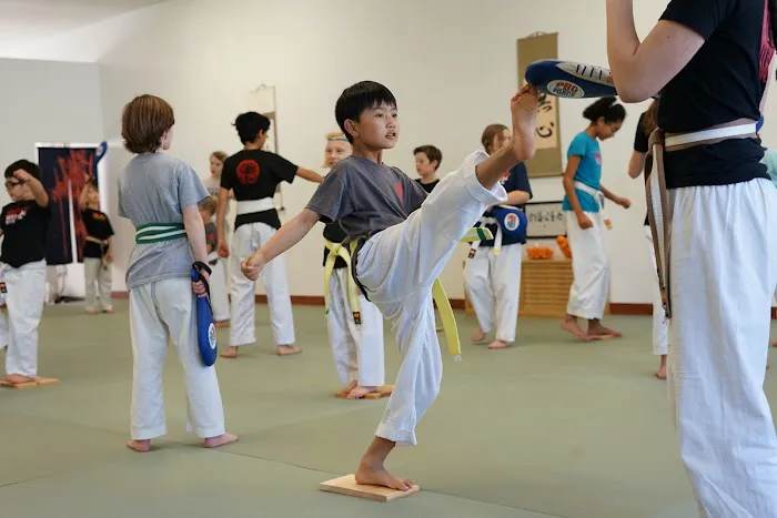 Karatedo Shinyokai Picture 6