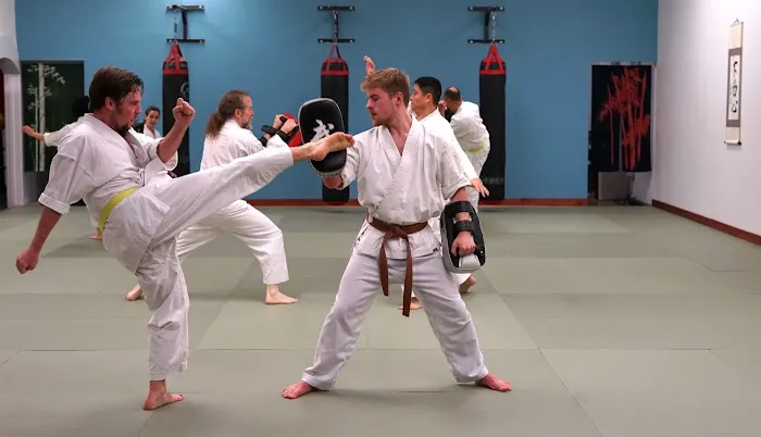 Karatedo Shinyokai Picture 2