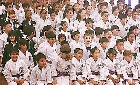 Pleasant Hill Japan Karate-Do Picture 1