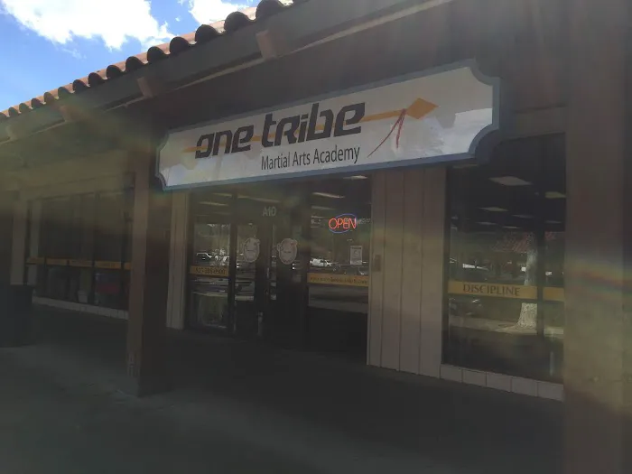 One Tribe Martial Arts Academy Picture 3