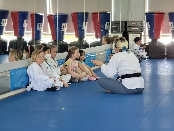 Dae Han Martial Arts Picture 1