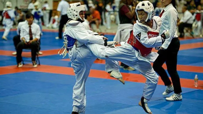 Dae Han Martial Arts Picture 9