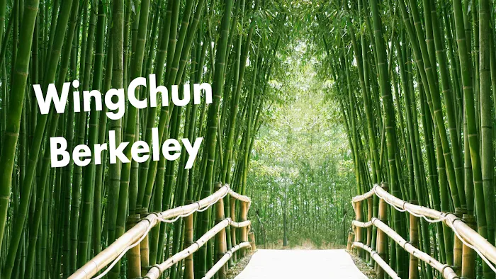 WingChun Berkeley Picture 7