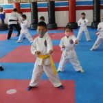 Vallejos Tae Kwon Do