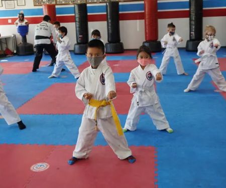Vallejos Tae Kwon Do
