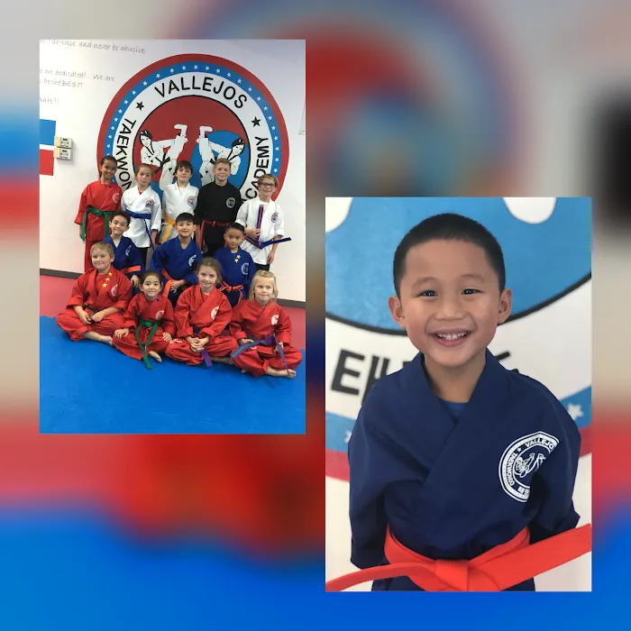 Vallejos Tae Kwon Do Picture 10