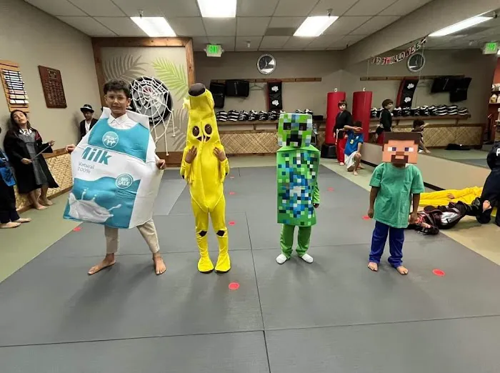Solis Martial Arts Picture 2