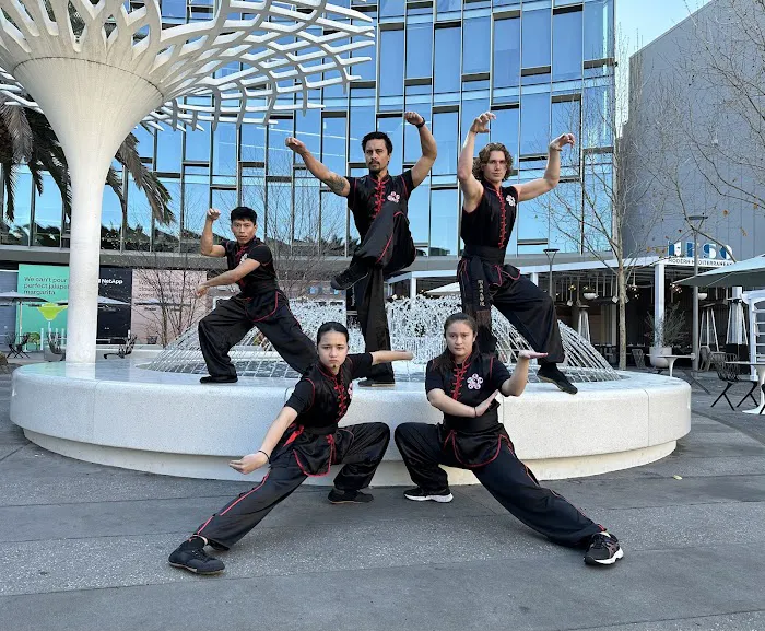 Concord Kung Fu Academy Picture 5
