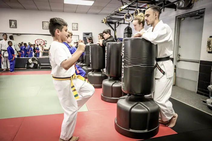 Felipe's Championship Martial Arts Picture 9