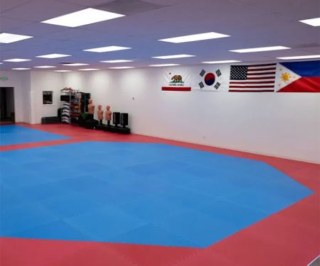 New Game Taekwondo